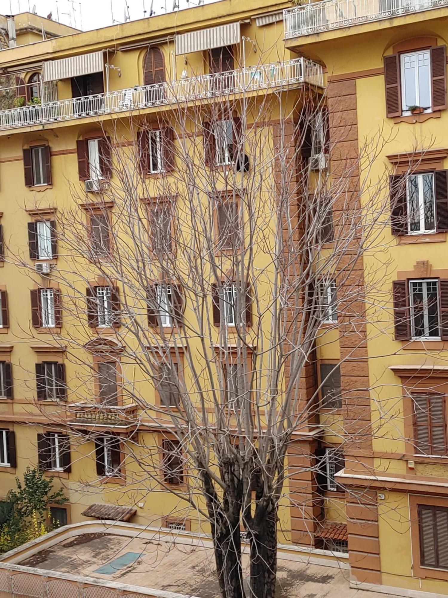 Studio Flat Trastevere Ρώμη Εξωτερικό φωτογραφία